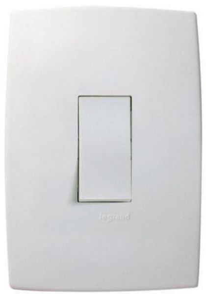 Interruptor Simples 10A 250V Vertical 4X2