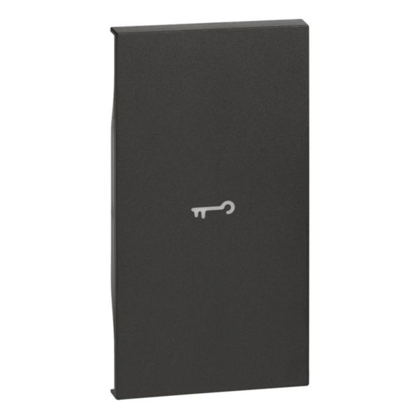Tampa Para Interruptor Simbolo Chave 2M Black - Living Now