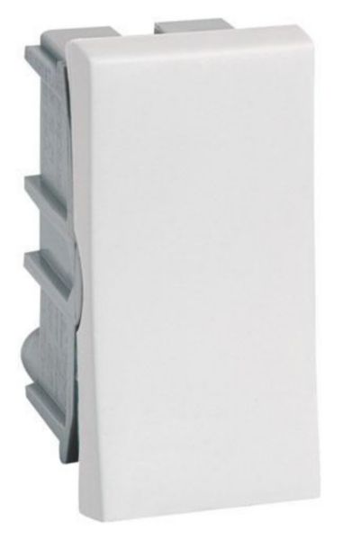 Interruptor Paralelo 10A 250V 1 Módulo