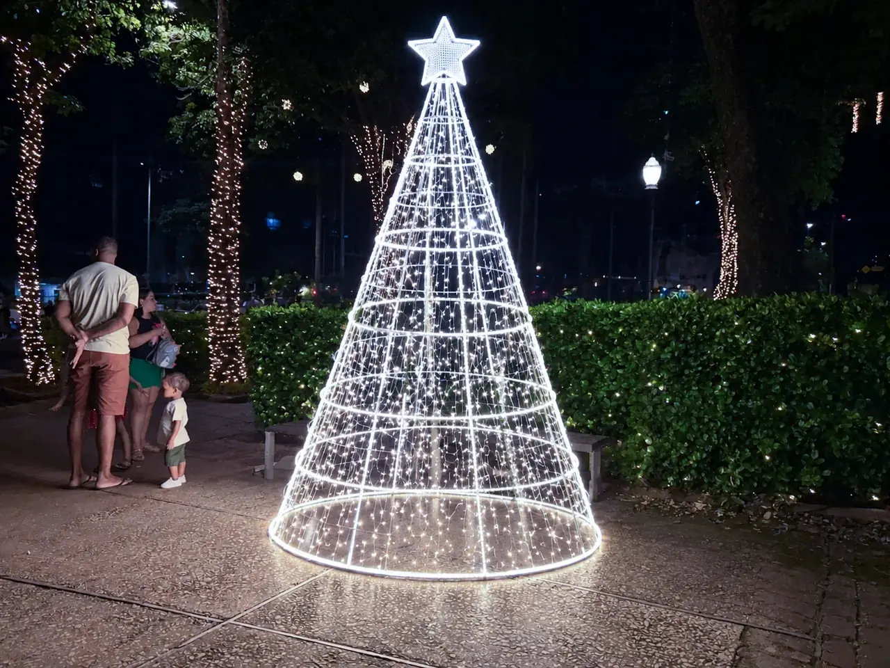 Árvore cone de LED em praça arborizada