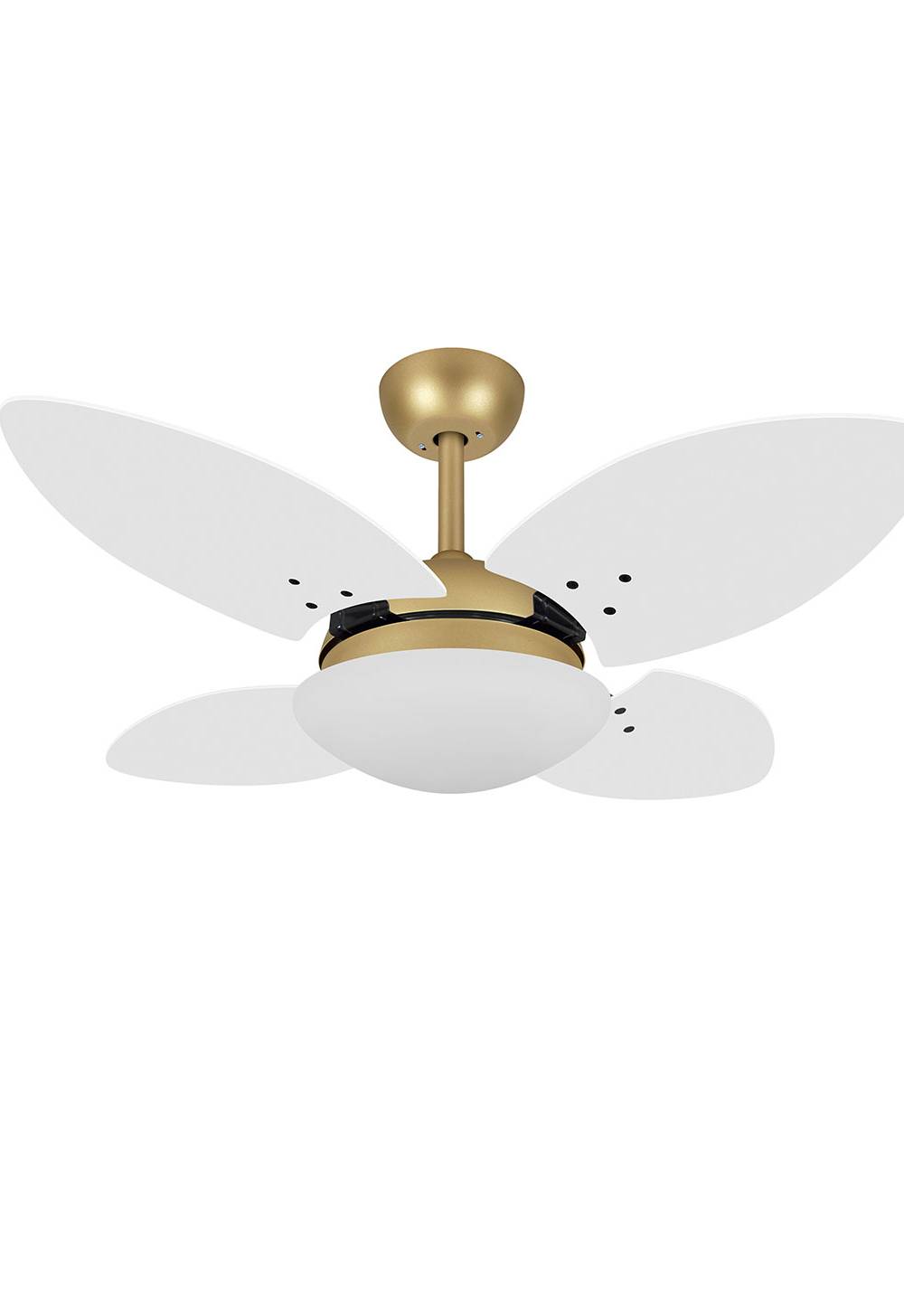 9026 VOLARE VD28 MINI PÉTALO DOURADO MATE / LACA BRANCA
