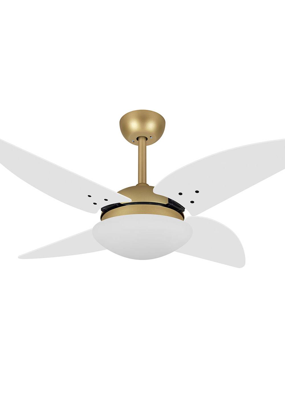 9034 VOLARE VD28 QUAD DOURADO MATE / LACA BRANCA