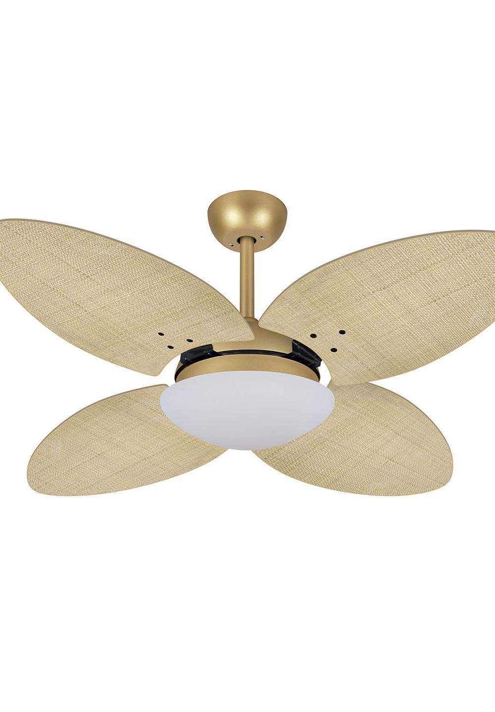 9003 VOLARE VD28 TAMI DOURADO MATE / PALMAE NATURAL