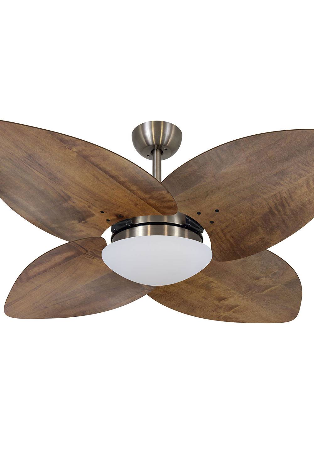9013 VOLARE VD28 DUNAMIS BRONZE / RÁDICA IMBUIA