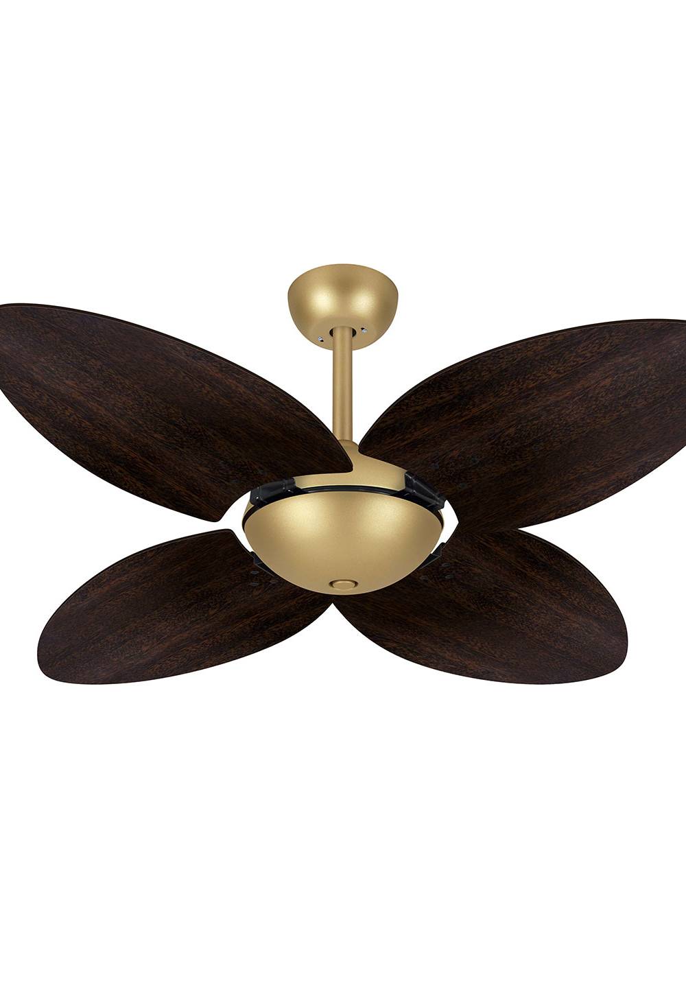 9006 VOLARE OFFICE TAMI DOURADO MATE / LACA TABACO