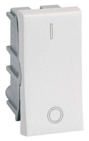 Interruptor Bipolar 10A 250V