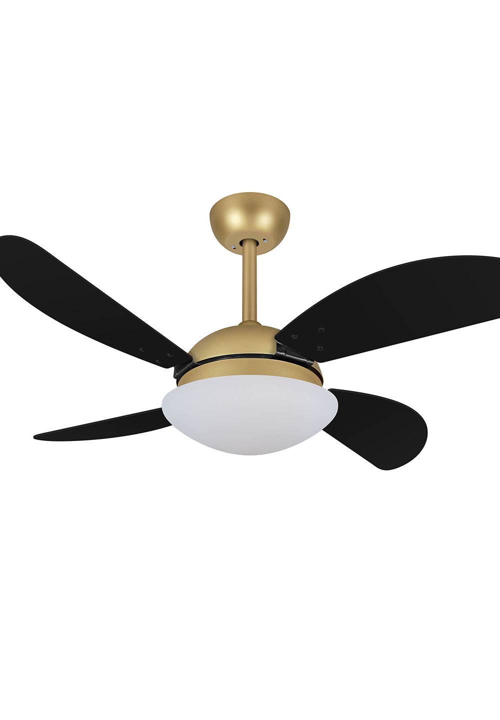 9040 VOLARE VD28 FLY DOURADO MATE / LACA PRETA