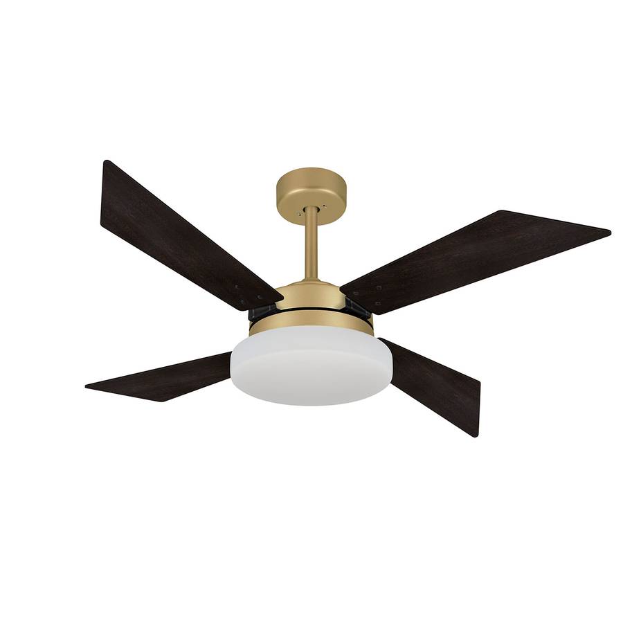 9027 VOLARE VD50 TECH DOURADO MATE / LACA TABACO