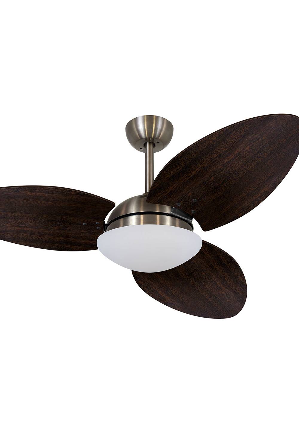 9011 VOLARE VD28 TAMI S3 BRONZE / LACA TABACO