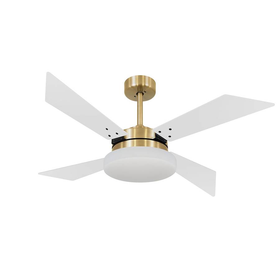 9027 VOLARE VD50 TECH DOURADO / LACA BRANCA