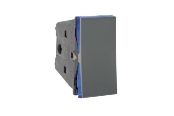 Interruptor Bipolar Paralelo 10A 250V 1M Cinza - Pial Plus+
