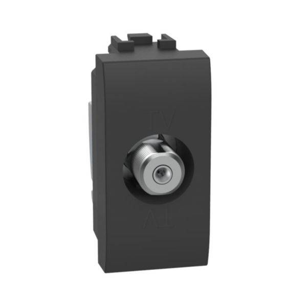 Tomada Antena Tv Tipo F - Anthracite - Livinglight
