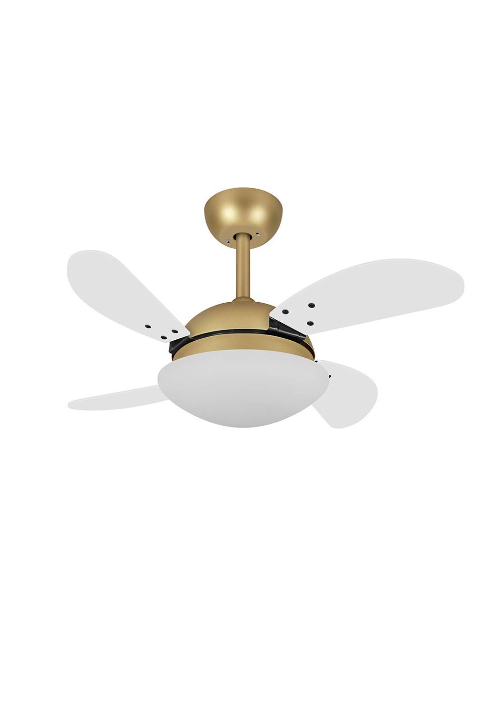 9043 VOLARE VD28 MINI FLY DOURADO MATE / LACA BRANCO