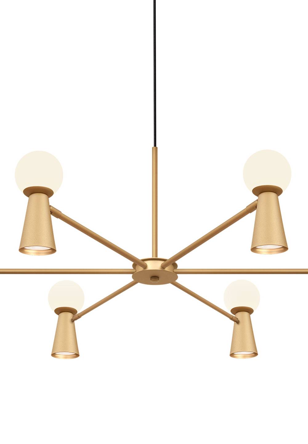 PD PION CIRCOLO 2136
