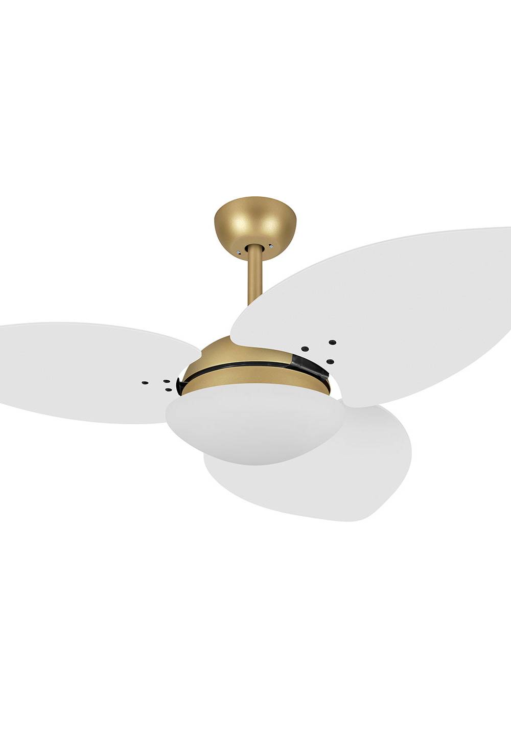 9023 VOLARE VD28 DUNAMIS S3 DOURADO MATE / LACA BRANCA