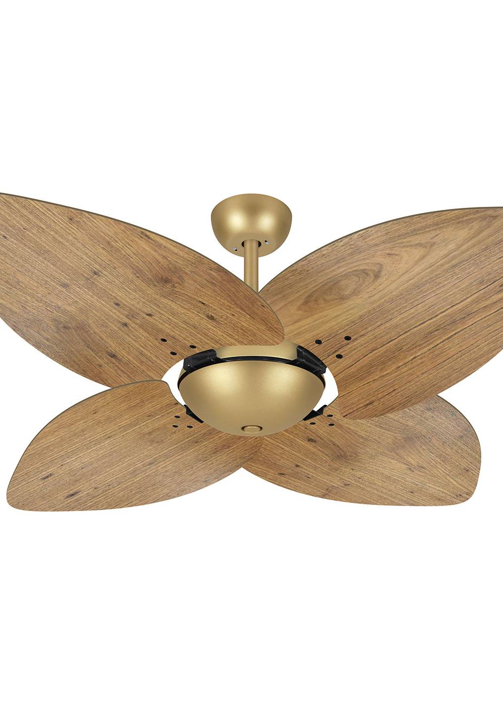 9014 VOLARE OFFICE DUNAMIS DOURADO MATE / RÁDICA FREIJÓ