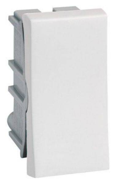 Interruptor Paralelo Bipolar 10A 250V