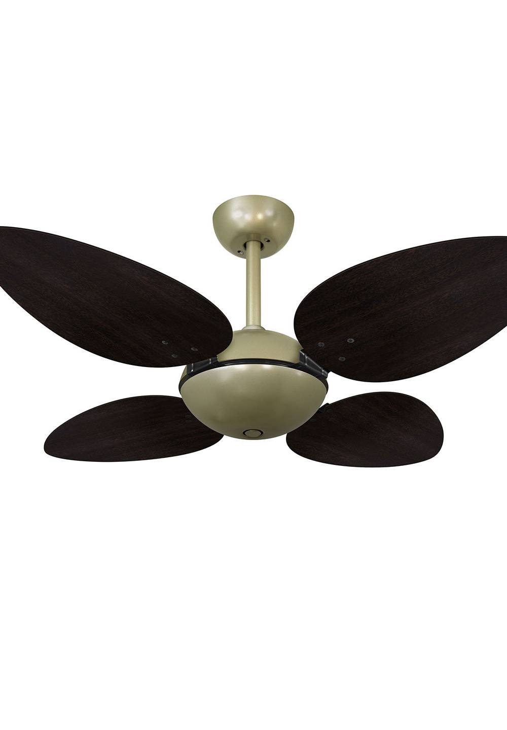 9033 VOLARE OFFICE PÉTALO GOLD / LACA TABACO