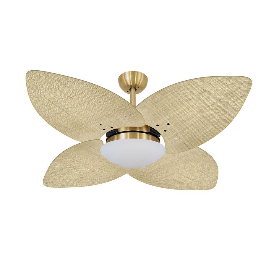 9015 VOLARE VD28 DUNAMIS DOURADO / PALMAE NATURAL