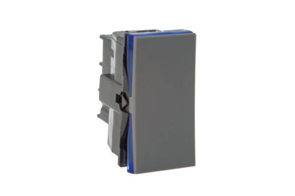 Interruptor Paralelo 10A 250V Borne Automático Cinza