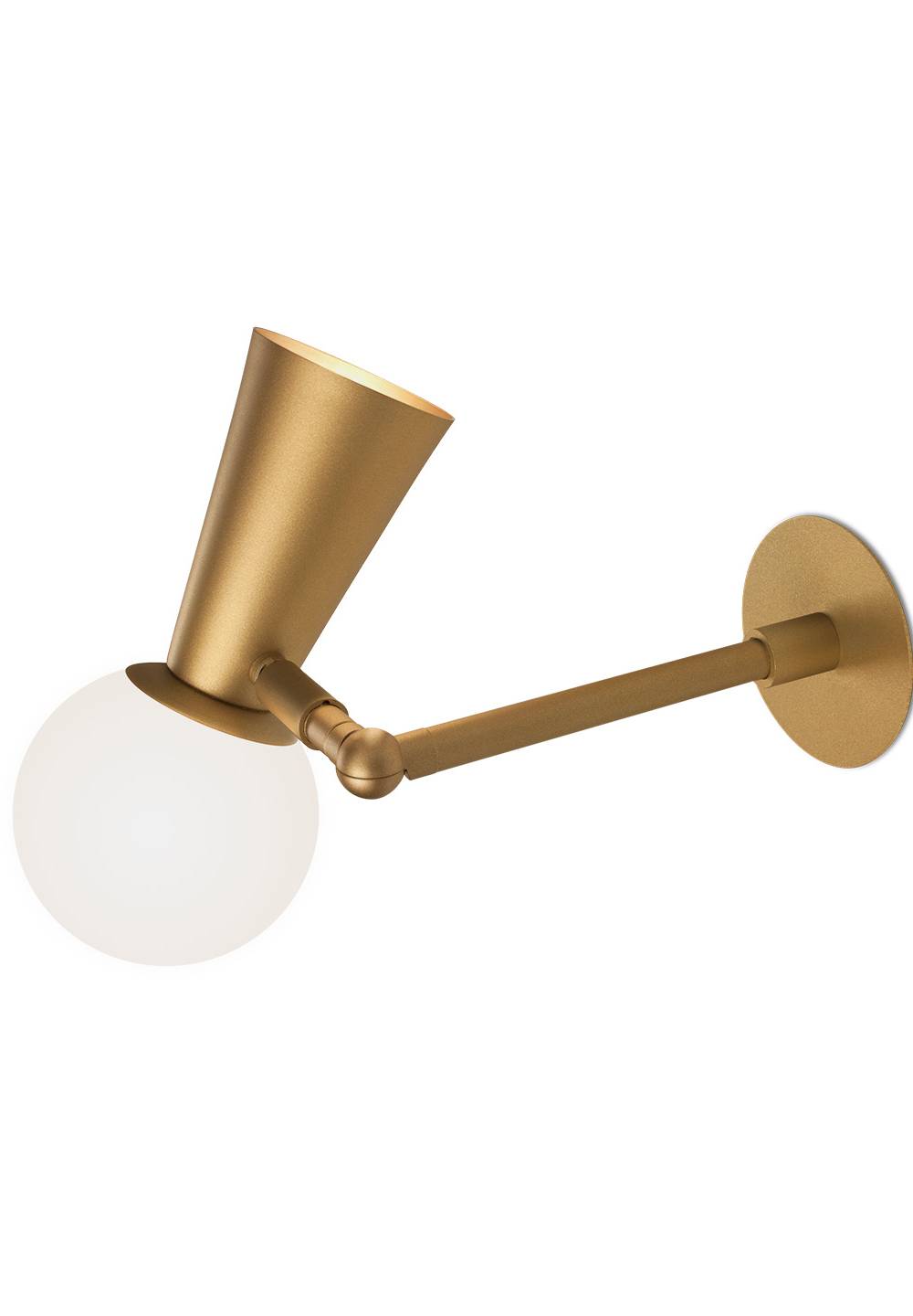 AR PION 1464 FULL CONTACT