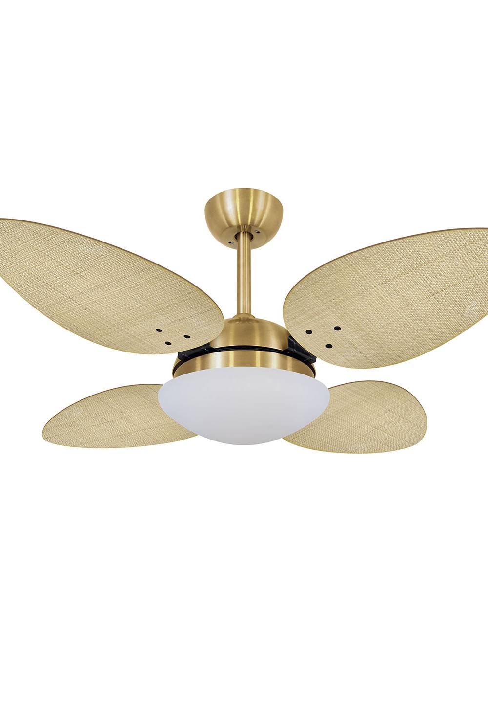 9029 VOLARE VD28 PÉTALO DOURADO / PALMAE NATURAL