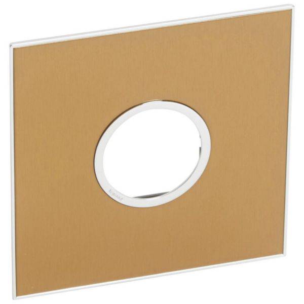 Arteor - Placa 2 postos 4x4inches redondos - Latão dourado - Metal escovado - Instalação à face