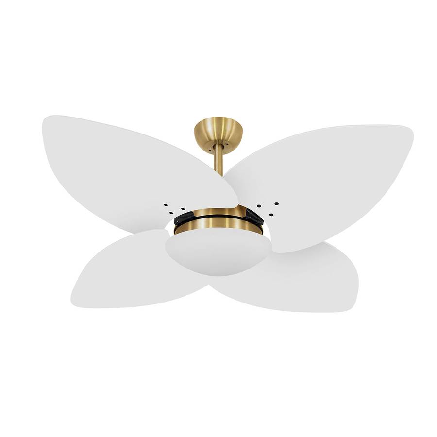 9017 VOLARE VD28 DUNAMIS DOURADO / LACA BRANCA