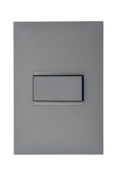 1 Interruptor Simples 10A 4X2 Cinza - Pial Plus+