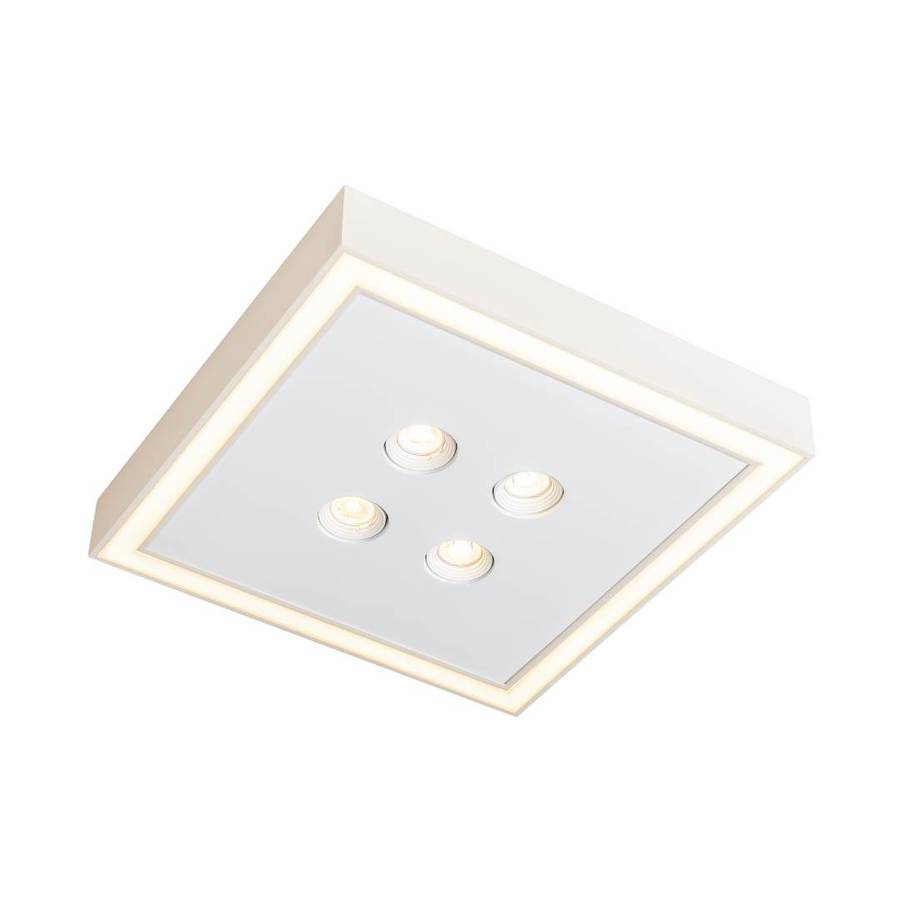 Plafon Premium Pro