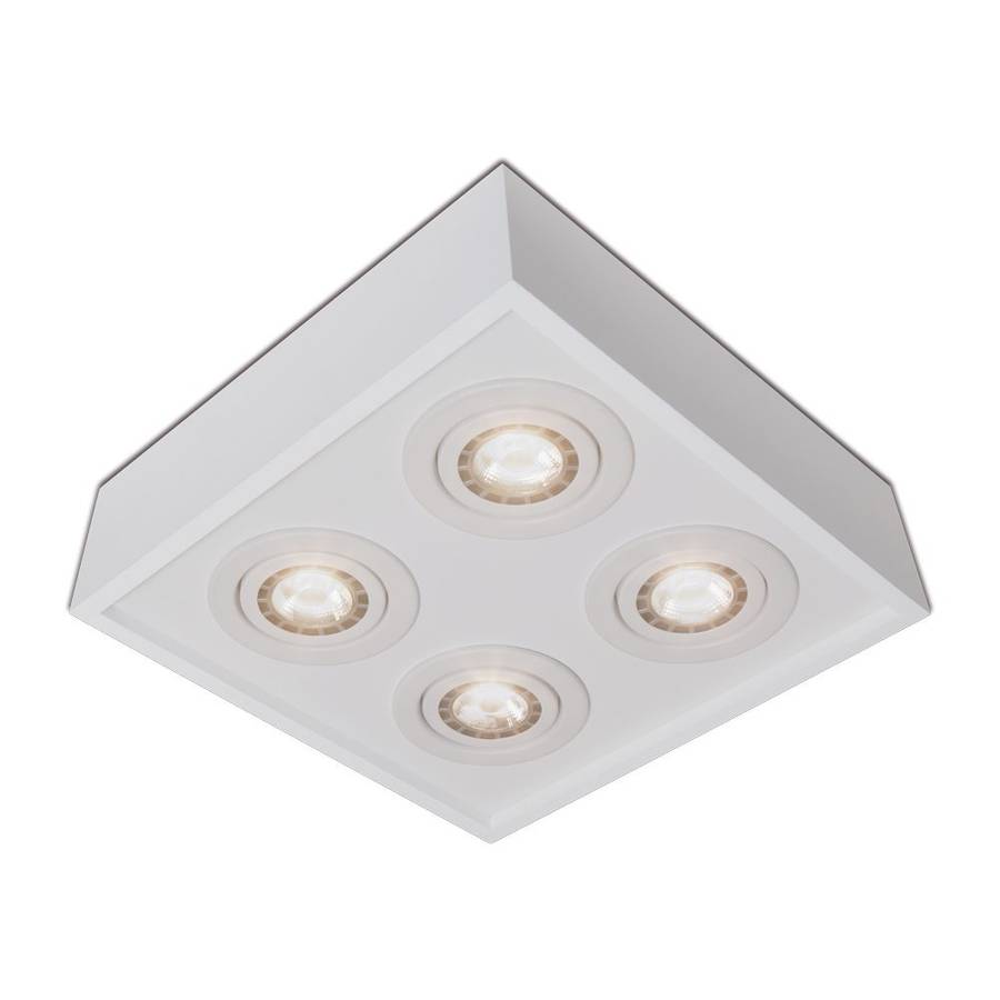 Plafon Premium